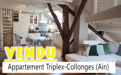 Appartement Collonges – Ain – 260&rsquo;000 EUR