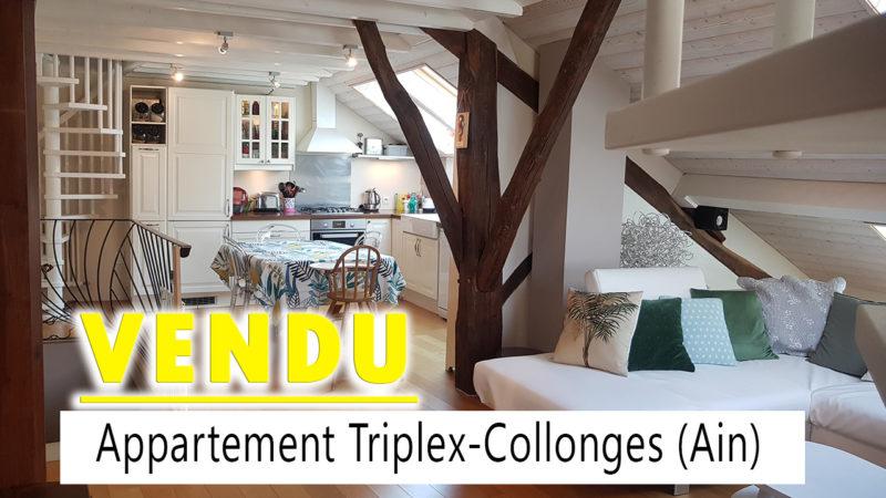 maison-collonges-acheter-vendre-en-vente-VENDU Appartement Collonges - Ain - 260'000 EUR